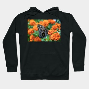 Schmetterling / Swiss Artwork Photography Hoodie